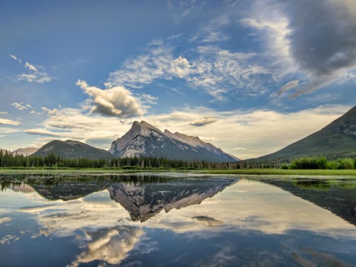 Nationalpark Defileul Jiului